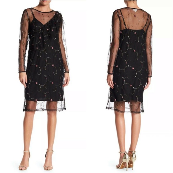 Everly Dresses & Skirts - Everly Black Embroidered Sheer Mesh Midi Dress